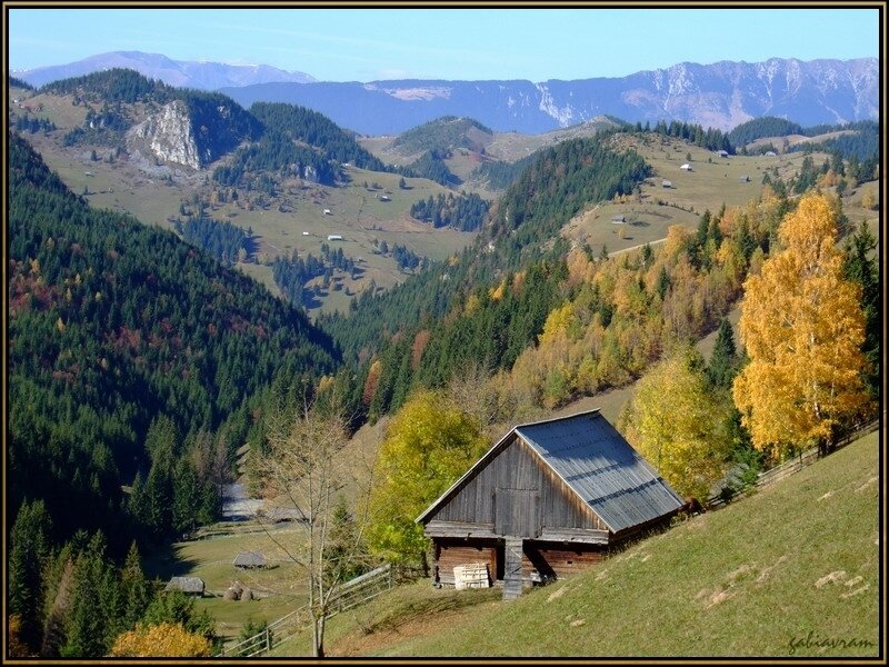 Wooden Cabin in Mountains