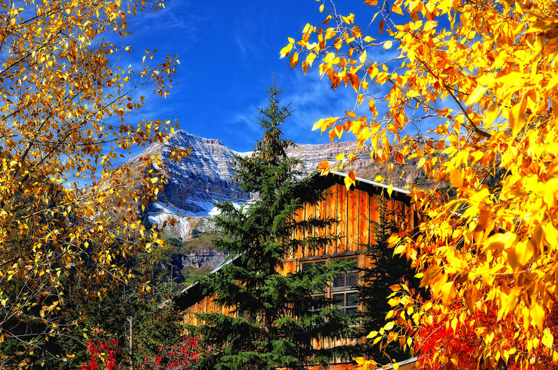 Wooden Cabin in Mountains — Yellow