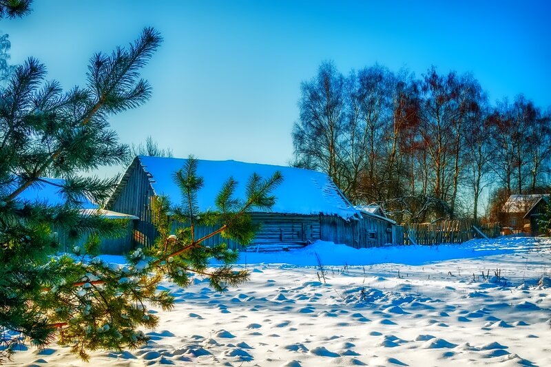 Wooden Cabin in Snow — Blue, Serene, Winter, Photograph, Pine Tree