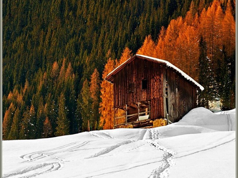 Wooden Cabin in Snow — White, Serene, Winter, Photograph, Forest