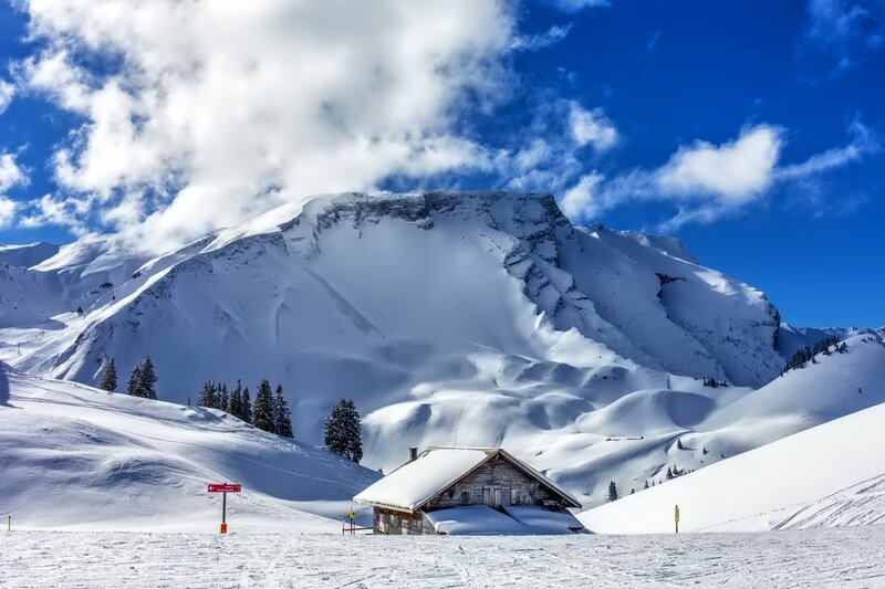 Wooden Cabin in Snow — White, Serene, Winter, Photograph, Mountain, Trees, Sign