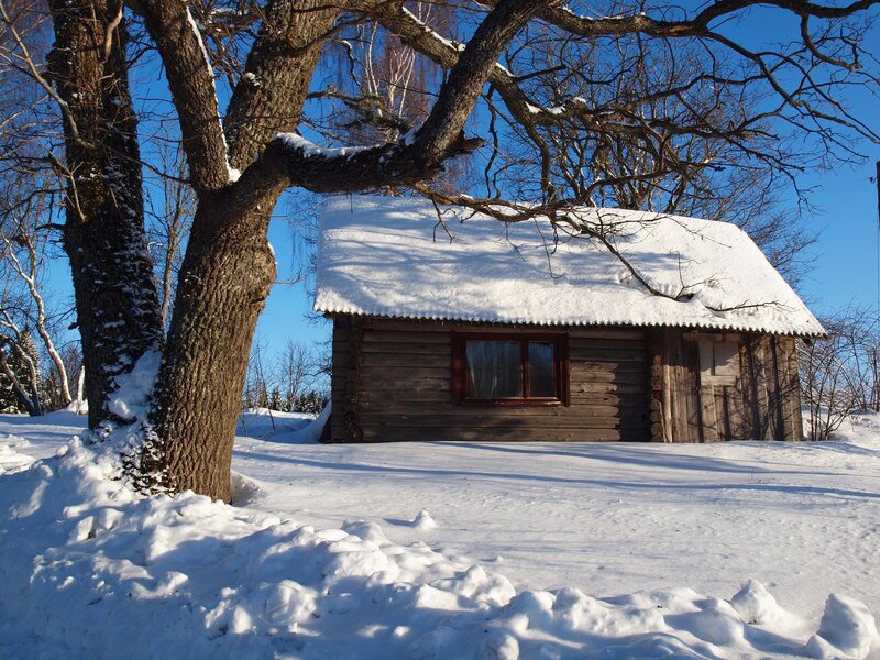 Wooden Cabin in Snow — White, Serene, Winter, Photograph, Tree, Window