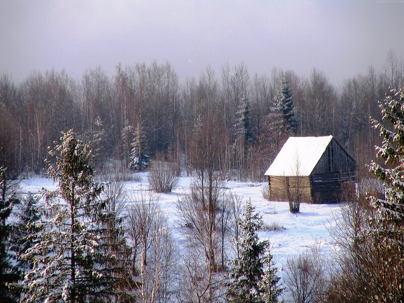 Wooden Cabin in Snow — White, Serene, Winter, Photograph, Trees, Forest