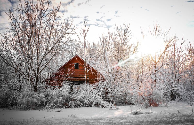 Wooden Cabin in Snow — White, Serene, Winter, Photograph, Trees, Sunlight