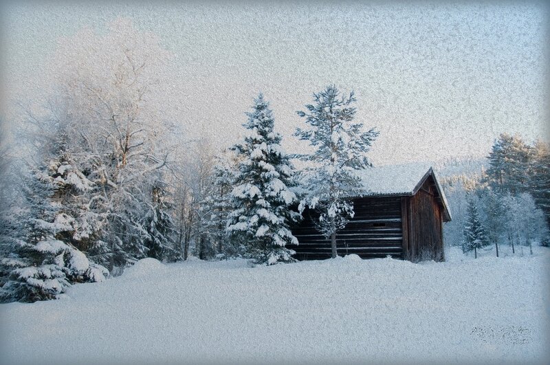 Wooden Cabin in Snow — White, Serene, Winter, Photograph, Trees