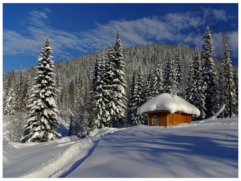 Wooden Cabin in Snow — White, Serene, Winter