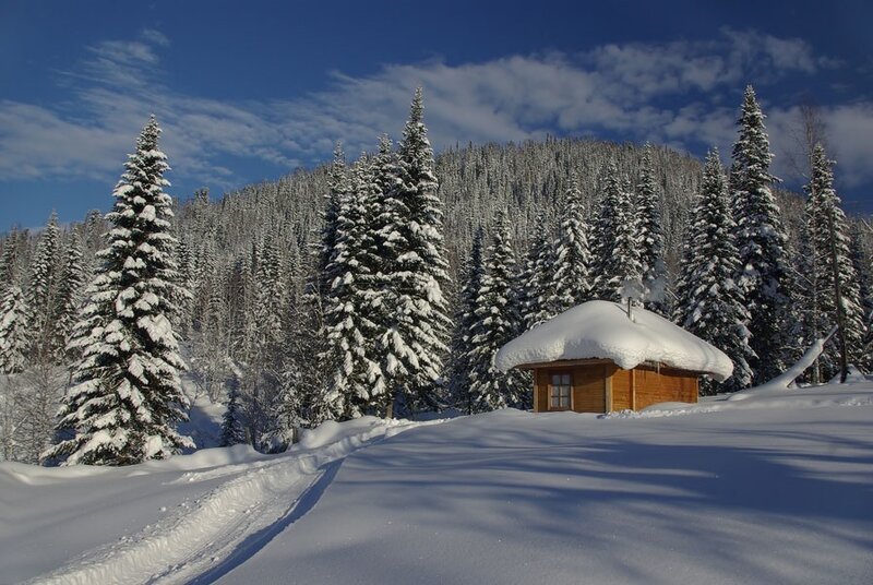 Wooden Cabin in Snow — White