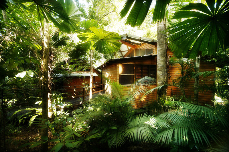 Wooden cabin in tropical forest
