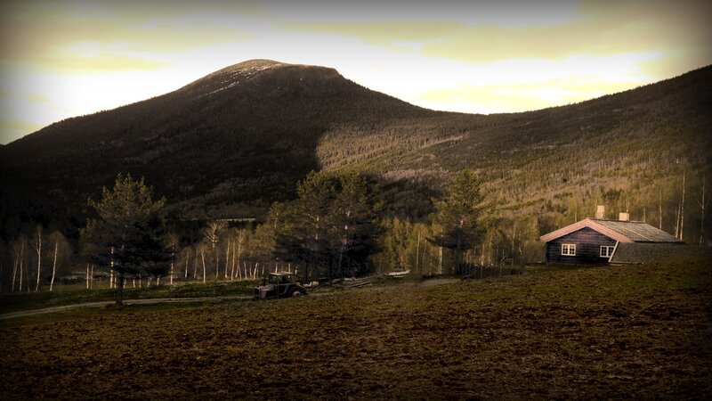 Wooden Cabin in Valley — Brown