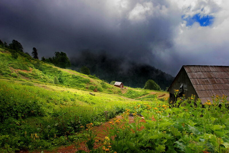 Wooden Cabin in Valley — Green, Dramatic
