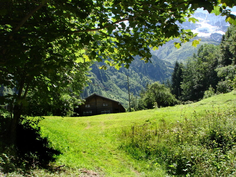 Wooden Cabin in Valley — Green