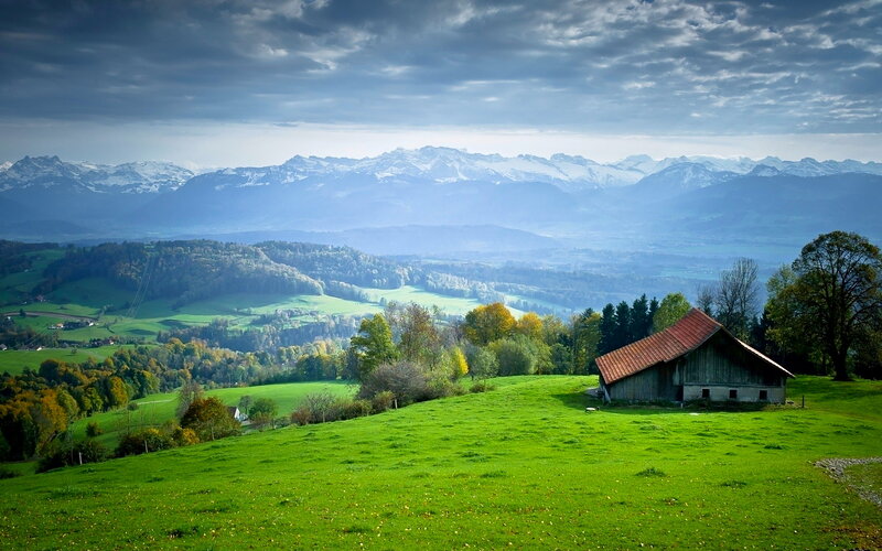 Wooden Cabin on Hill — Green, Serene