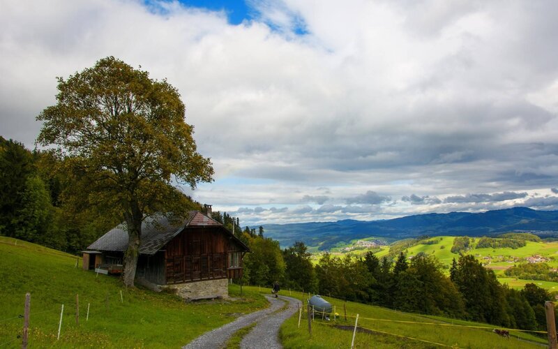 Wooden Cabin on Hillside — Green, Serene, Afternoon, Photograph