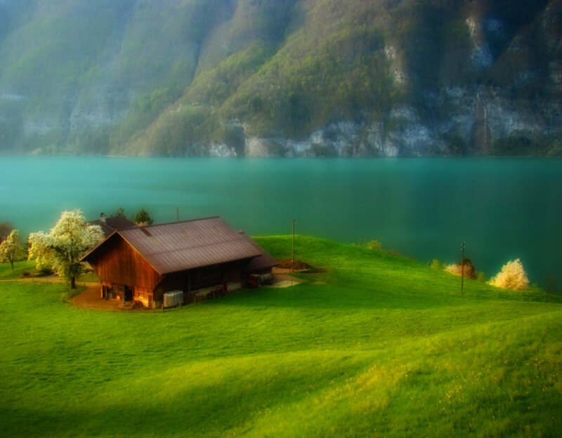 Wooden Cabin on Hillside — Green, Serene, Morning