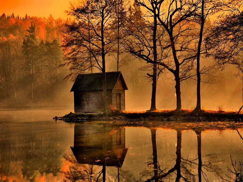 Wooden Cabin on Island