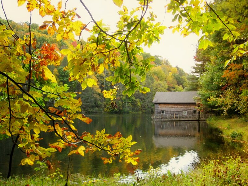 Wooden Cabin on Lake — Green, Serene, Autumn
