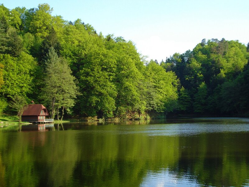 Wooden Cabin on Lake — Green