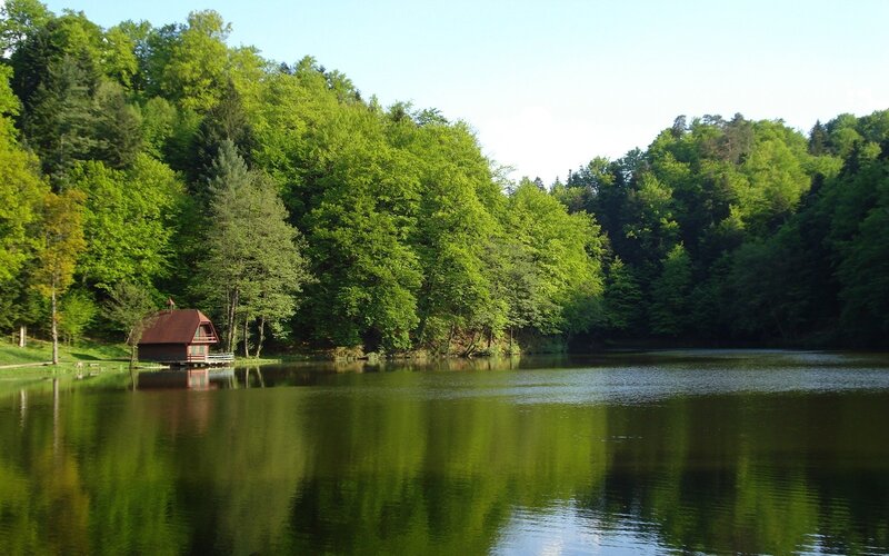 Wooden Cabin on Lake