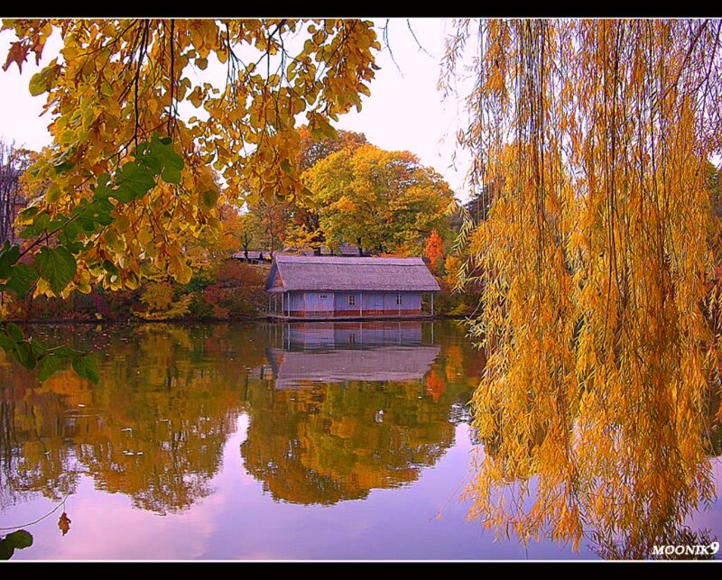 Wooden Cabin on Lake — Yellow, Serene