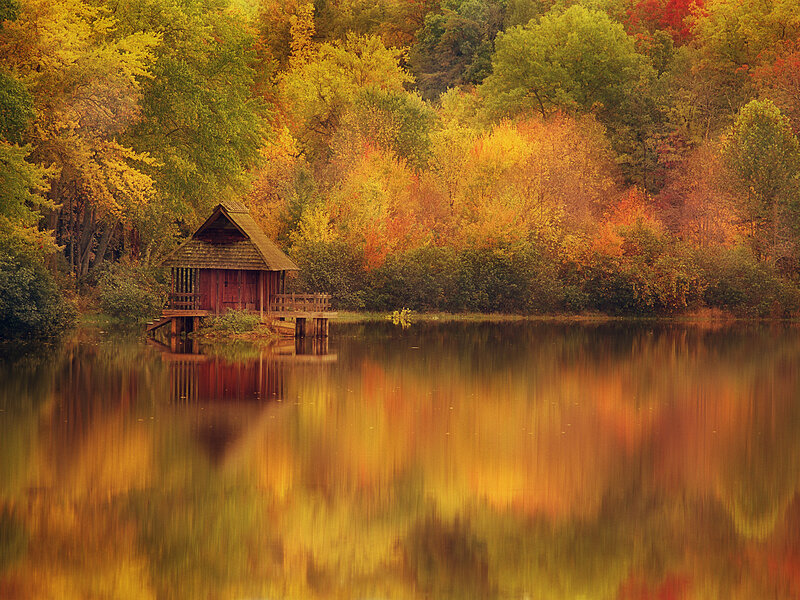 Wooden Cabin on Lake — Yellow