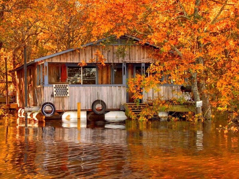 Wooden Cabin on Water