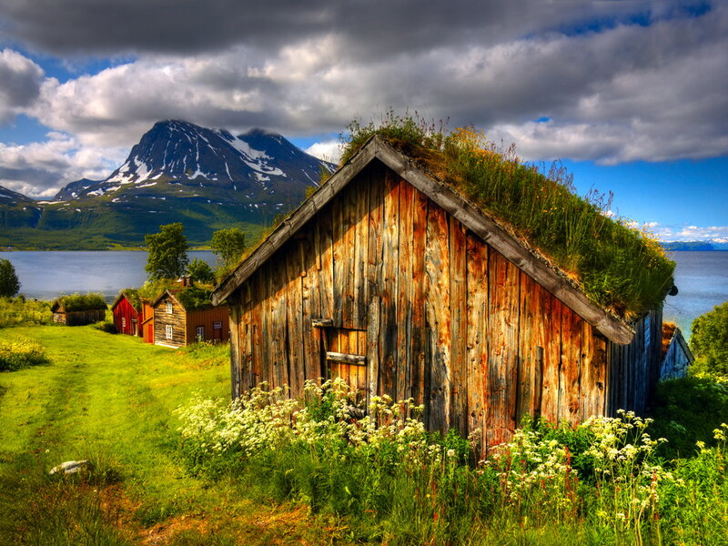 Wooden Cabin with Grass Roof — Green, Dramatic