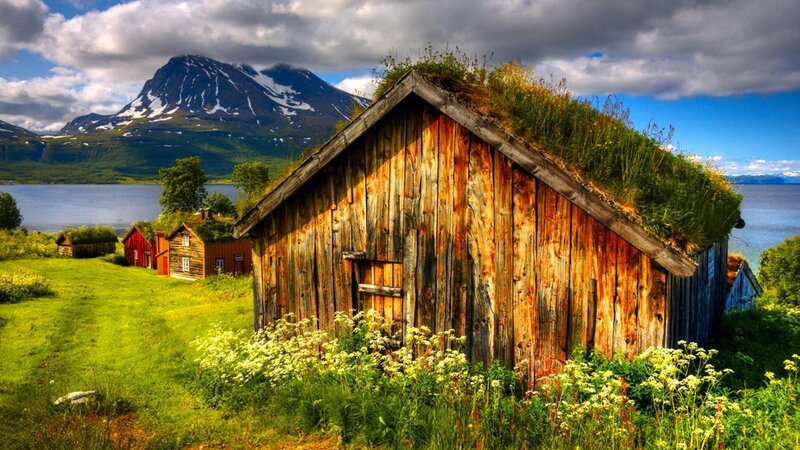 Wooden Cabin with Grass Roof — Green, Serene, Afternoon