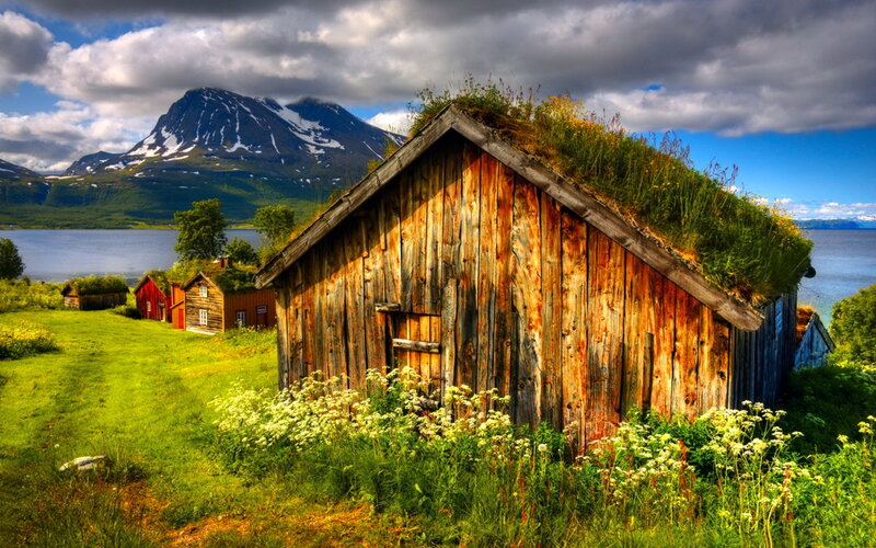 Wooden Cabin with Grass Roof — Green, Serene