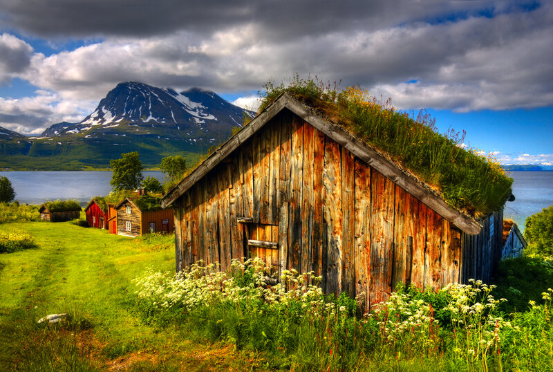 Wooden Cabin with Grass Roof