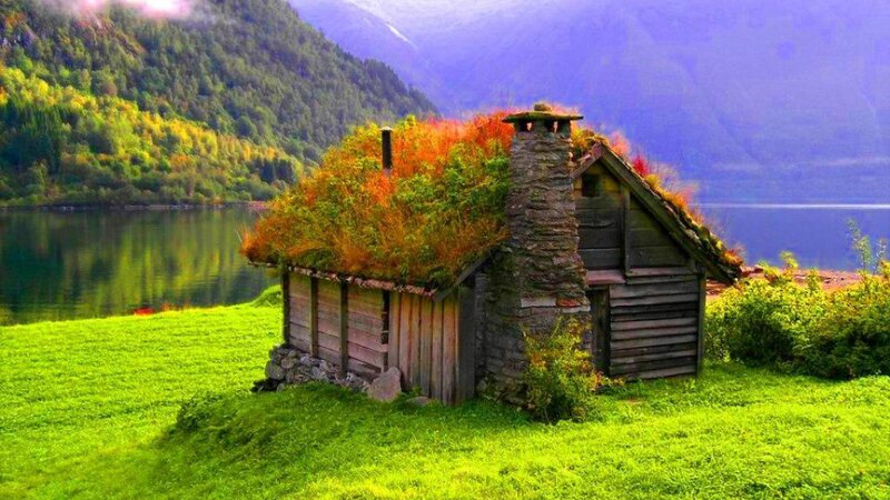 Wooden Cabin with Green Roof — Serene, Afternoon