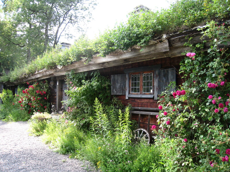 Wooden Cabin with Green Roof