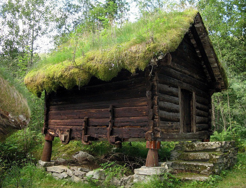 Wooden Cabin with Moss Roof