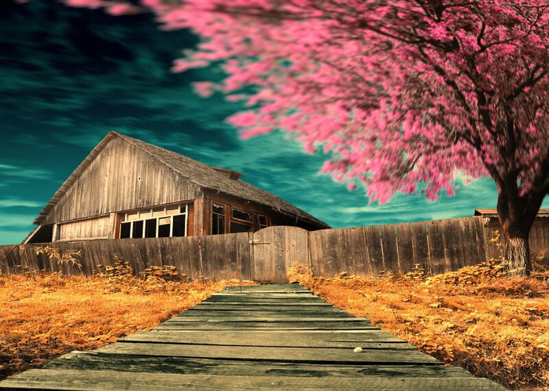Wooden Cabin with Pink Tree