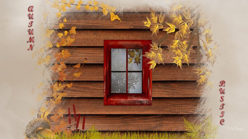Wooden Cabin with Red Window