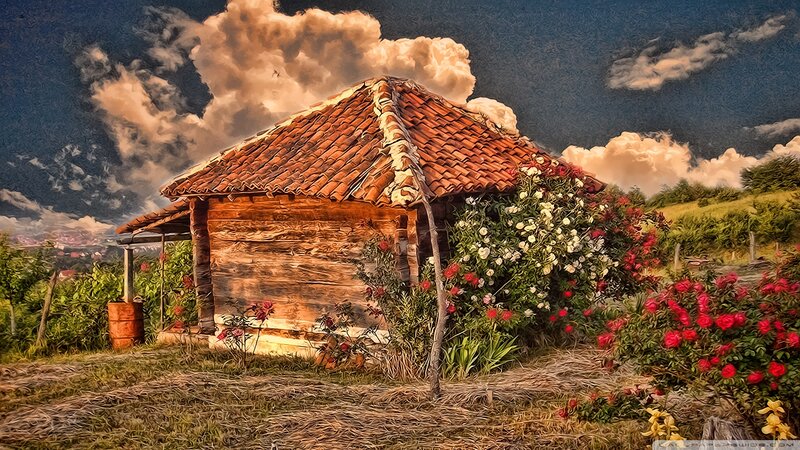 Wooden Cabin with Roses — Brown