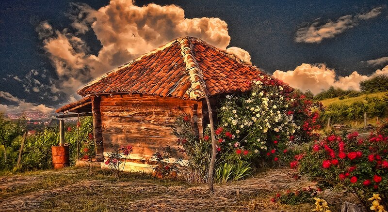 Wooden Cabin with Roses