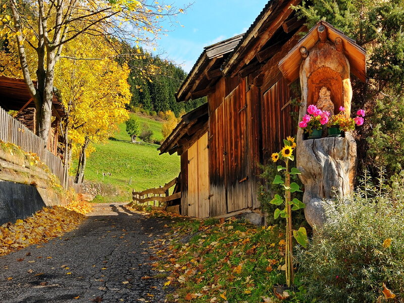 Wooden Cabin with Shrine