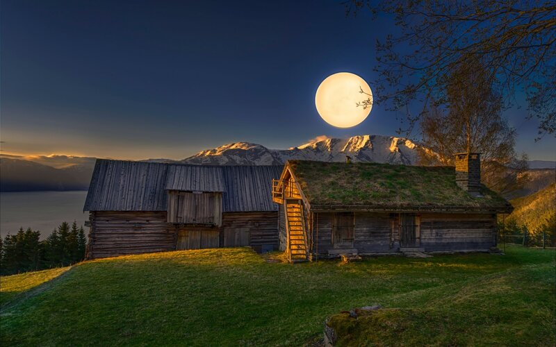 Wooden Cabins at Night — Green
