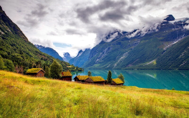 Wooden Cabins by Fjord