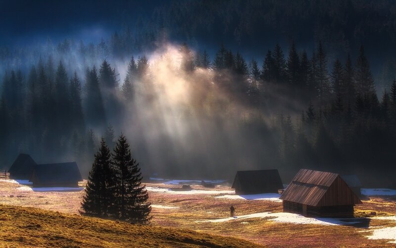 Wooden Cabins in Fog