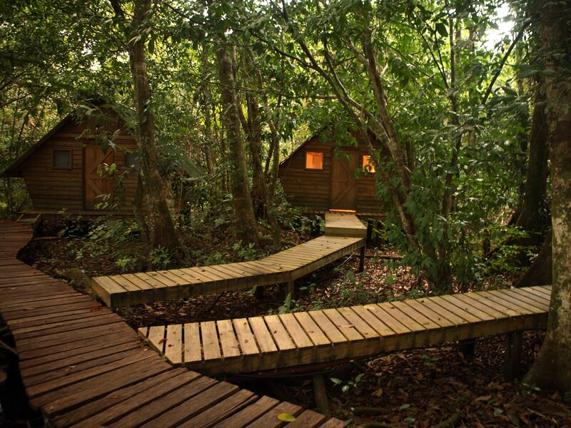 Wooden cabins in forest
