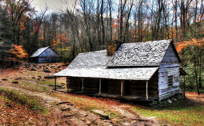 Wooden Cabins in Forest — Brown, Serene