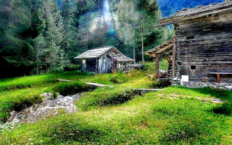Wooden Cabins in Forest — Green, Serene, Afternoon, Photograph, Stream