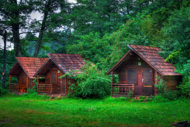 Wooden Cabins in Forest — Green, Serene, Afternoon, Photograph, Trees
