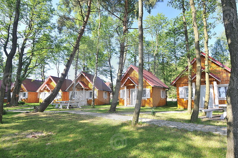 Wooden Cabins in Forest — Green