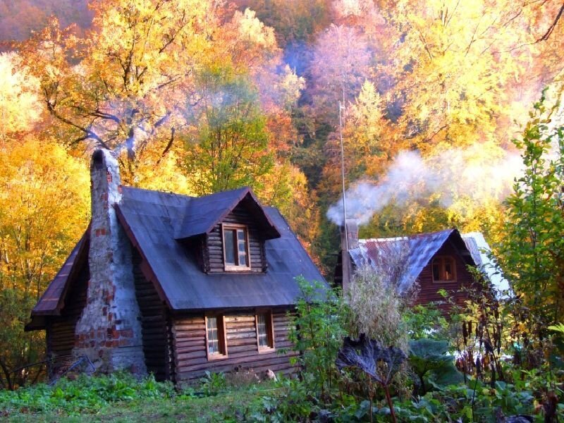 Wooden Cabins in Forest — Yellow