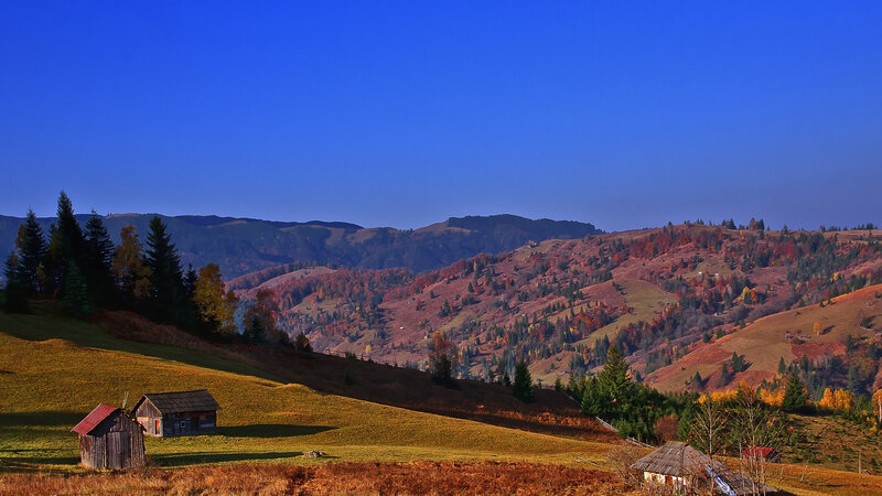 Wooden Cabins in Hills