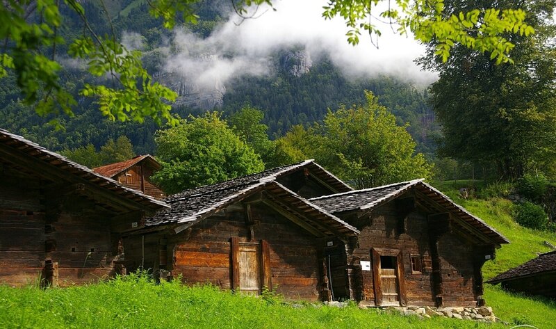 Wooden Cabins in Mountains — Green