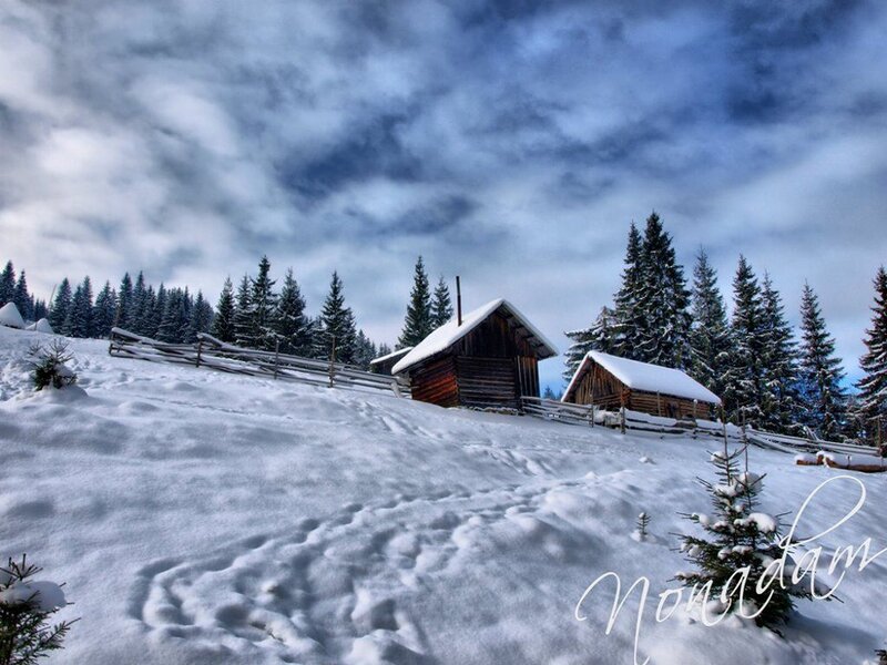 Wooden Cabins in Snow — White, Dramatic