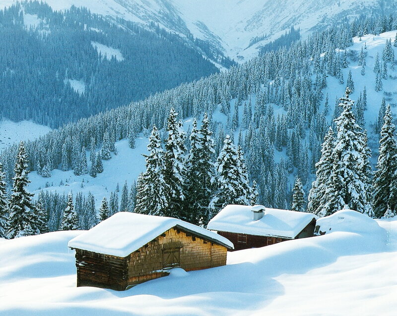 Wooden Cabins in Snow — White, Serene